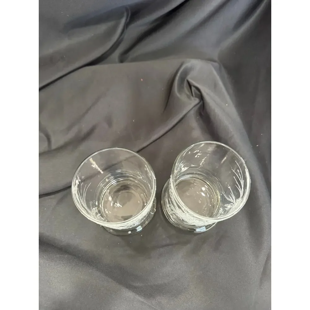 Rare Vintage Set of 2 Dorothy Thorpe Glass Tumblers with Lucite Pinecones Art